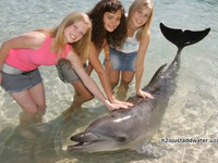 Рикки Клео и Эмма с Ронни в аквапарке Sea World
